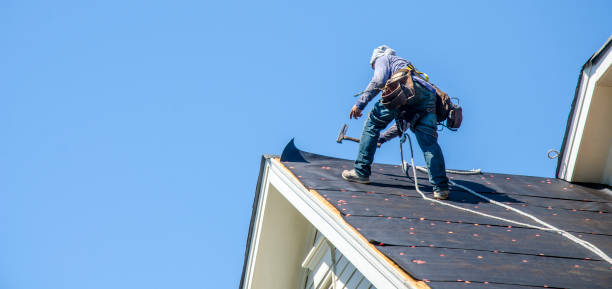 Best Roof Gutter Cleaning  in Cohoes, NY